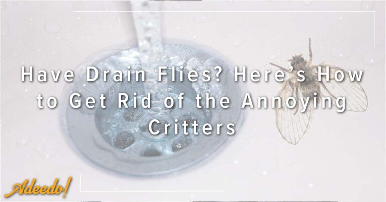 %title% | Adeedo Plumbing, Drains, Heating & Air