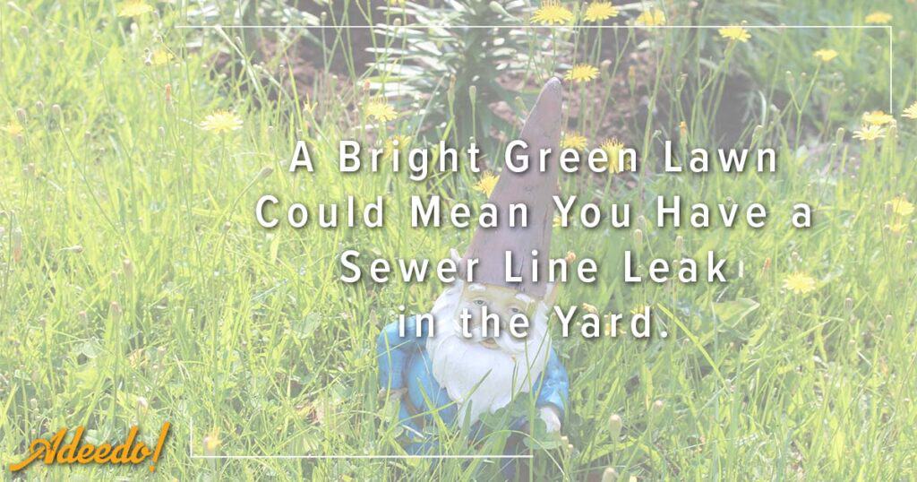 A garden gnome on a vibrant green lawn with yellow flowers. Adeedo reminds you: an extra green lawn may signal a sewer line leak.