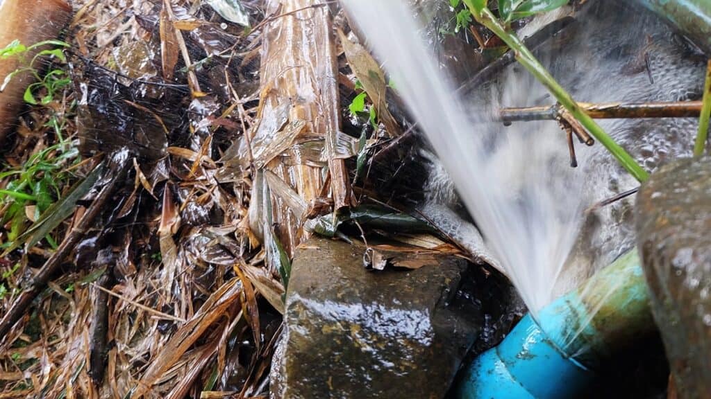 A burst blue water pipe sprays water onto rocky, plant-filled ground, ready for Adeedo’s team to provide expert repair service.