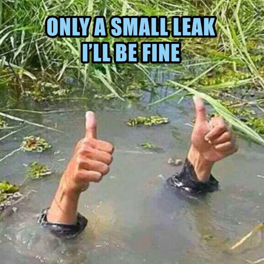 Plumbing Leak meme